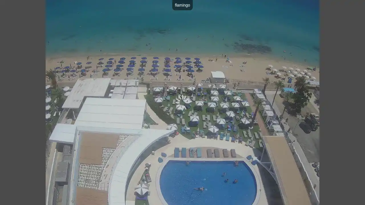 Webcam-Aufnahme aus :city — 16. Juni 2026 11:00