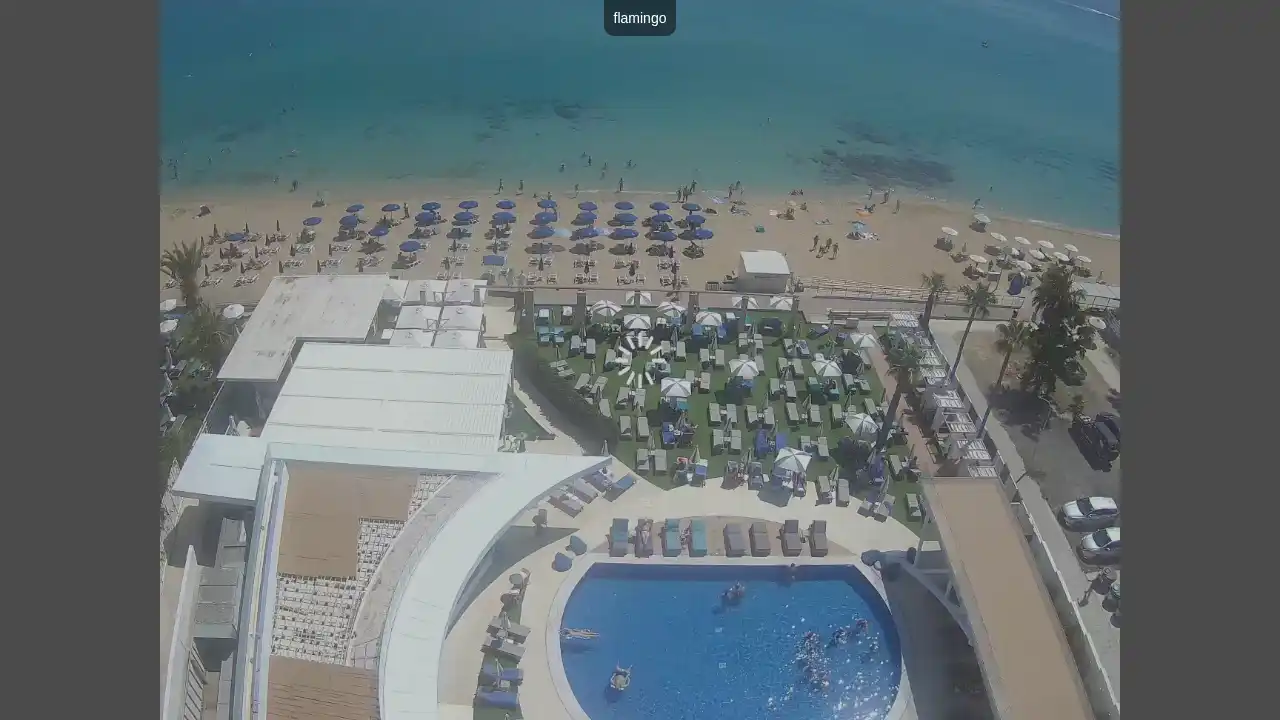 Webcam-Aufnahme aus :city — 17. Juni 2026 08:00