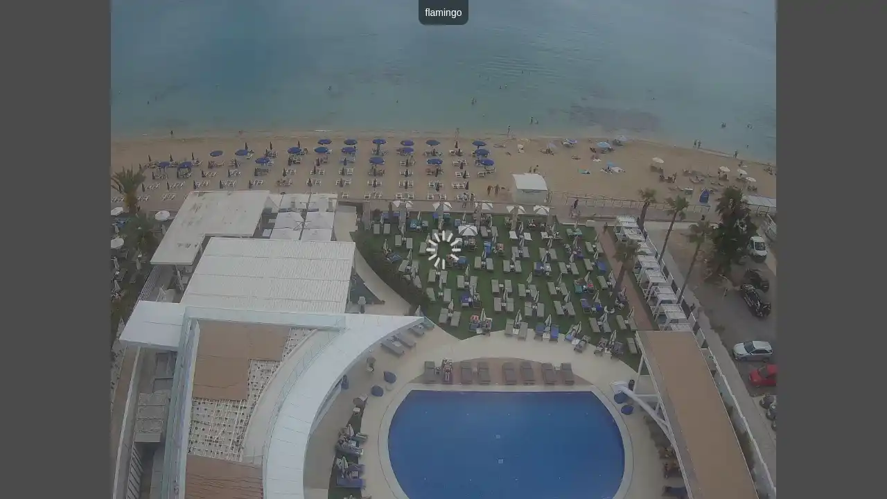 Webcam-Aufnahme aus :city — 19. Juni 2026 08:00