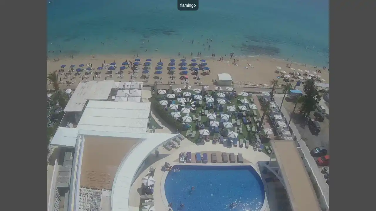 Webcam-Aufnahme aus :city — 26. Juni 2026 08:00
