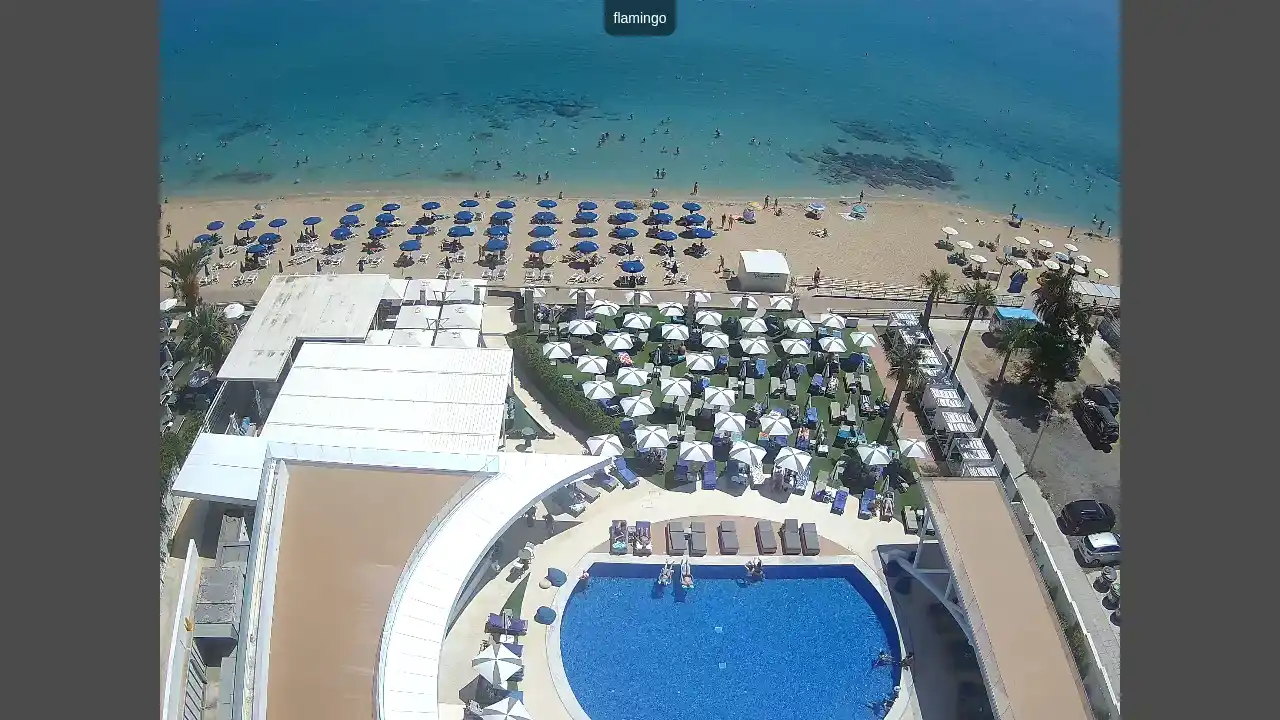 Webcam-Aufnahme aus :city — 29. Juni 2026 08:00