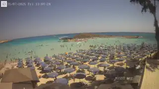 Vorschaubild 2026-07-31 11:00